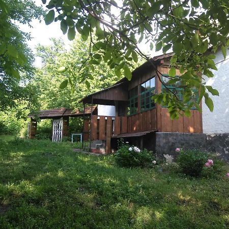 Садиба "Біля Виру" Buki  Exterior photo